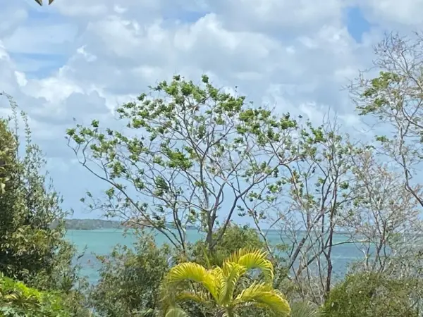 Maison Bacalar 8
