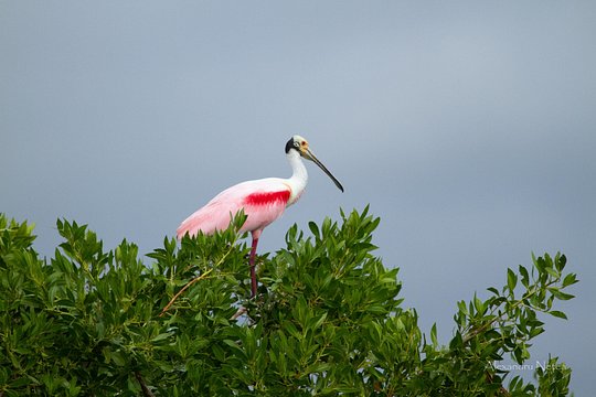 Tour image 2